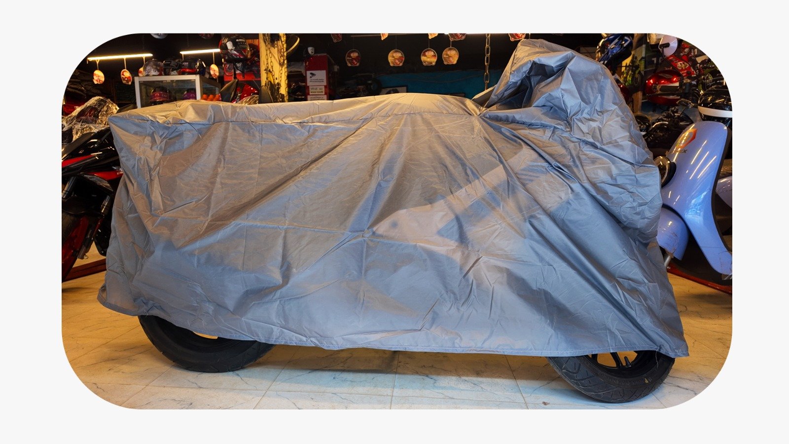 WhatsApp Image 2025-11-28 at 10.36.05 AM