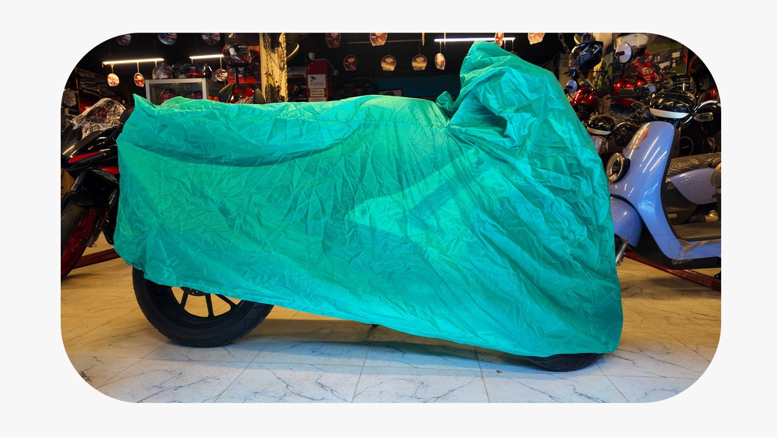 WhatsApp Image 2025-11-28 at 10.36.28 AM