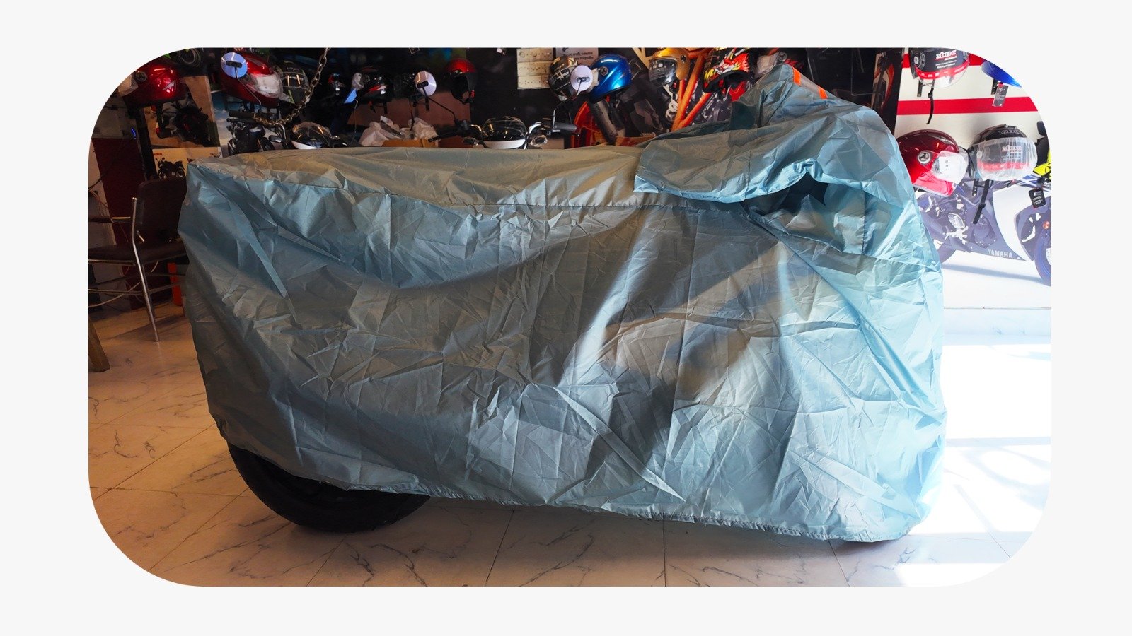 WhatsApp Image 2025-11-28 at 10.36.29 AM (1)