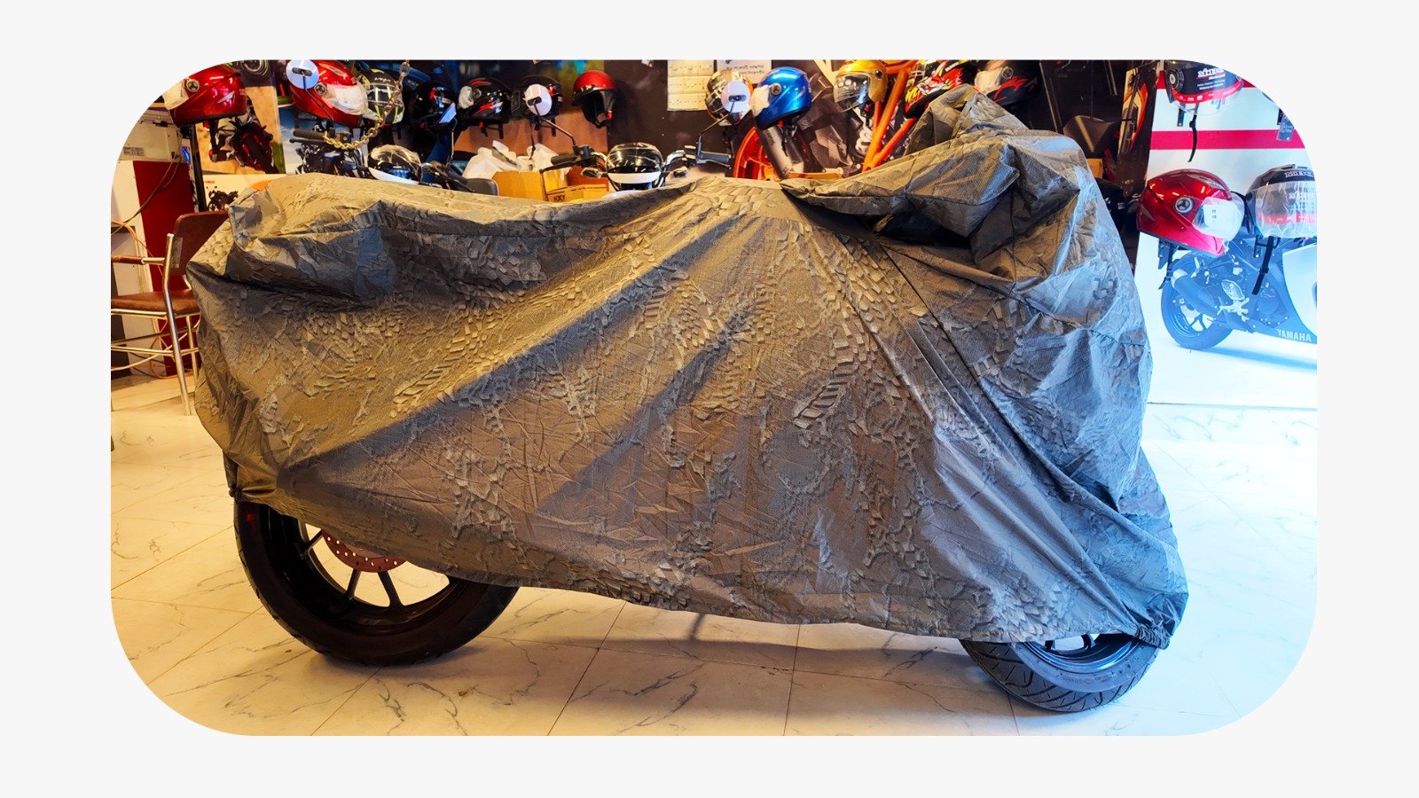 WhatsApp Image 2025-11-28 at 10.36.30 AM