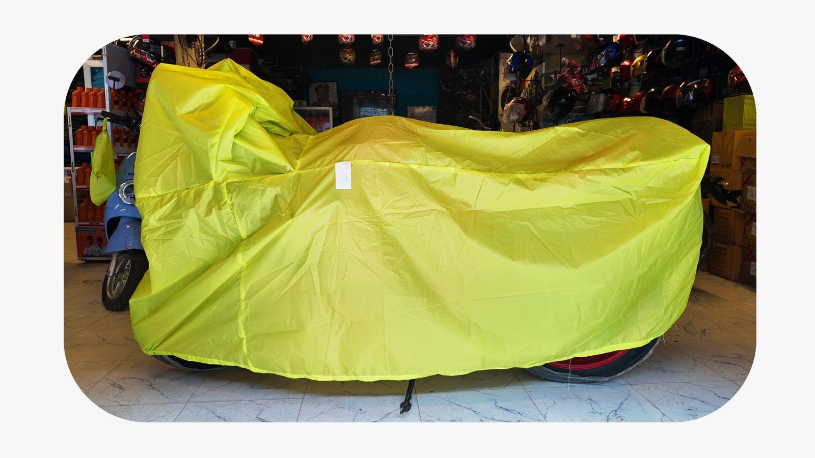 WhatsApp Image 2025-11-28 at 10.36.31 AM